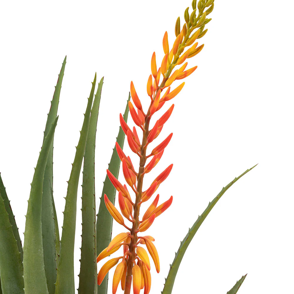 Aloe Potted Plant with Orange Flower - Image 2