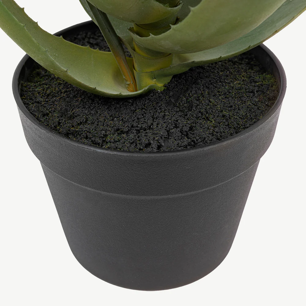 Aloe Potted Plant with Orange Flower - Image 3