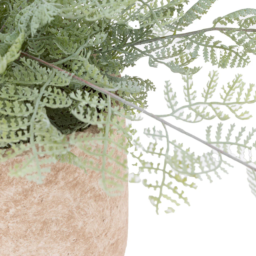 Artificial Fern in Cement pot - Image 4