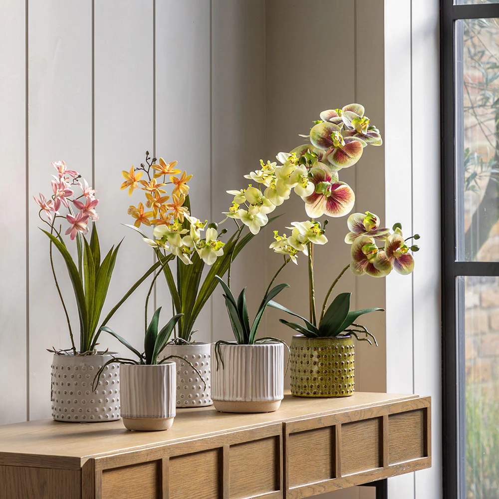 Artificial Cream Orchid in Ribbed White Ceramic Pot - Image 10