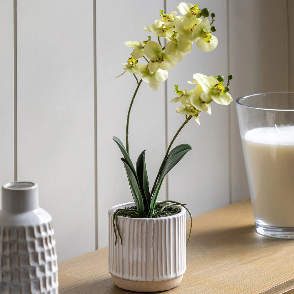 Artificial Cream Orchid in Ribbed White Ceramic Pot - Image 4
