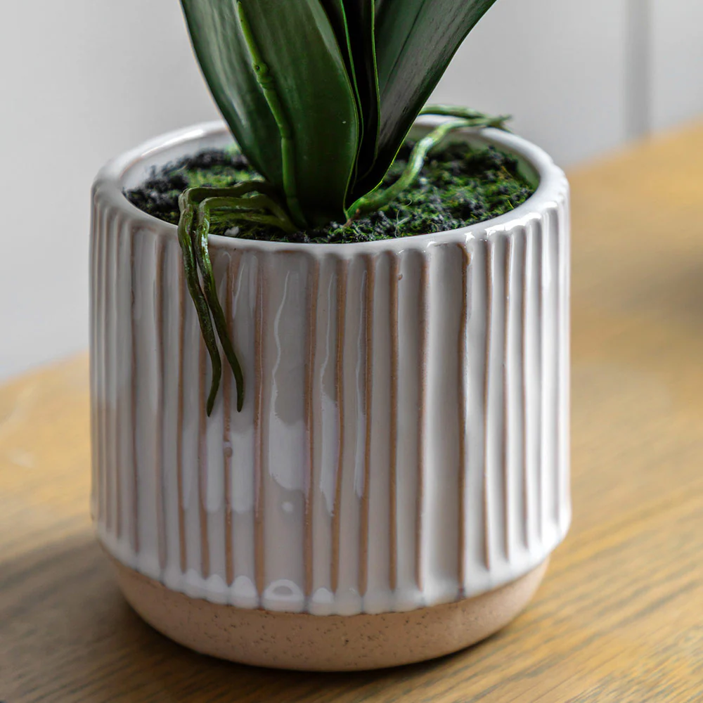 Artificial Cream Orchid in Ribbed White Ceramic Pot - Image 5