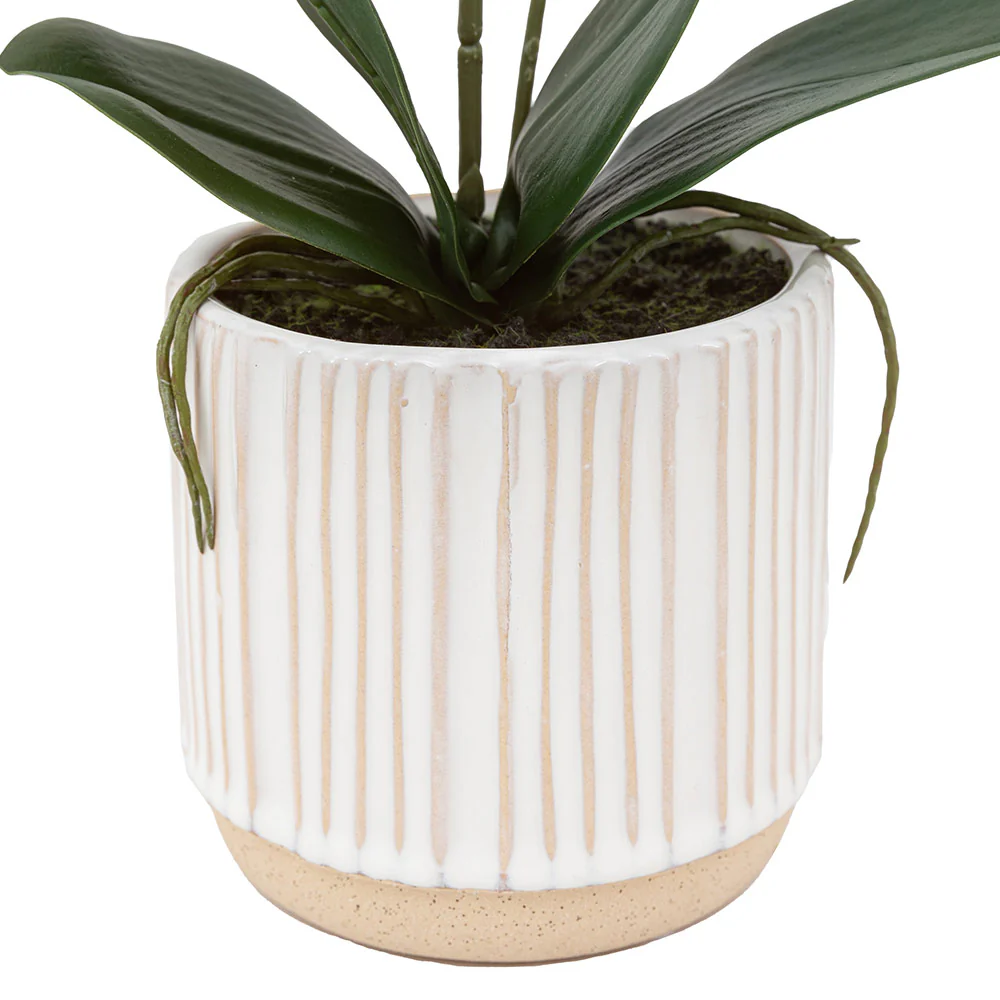 Artificial Cream Orchid in Ribbed White Ceramic Pot - Image 8