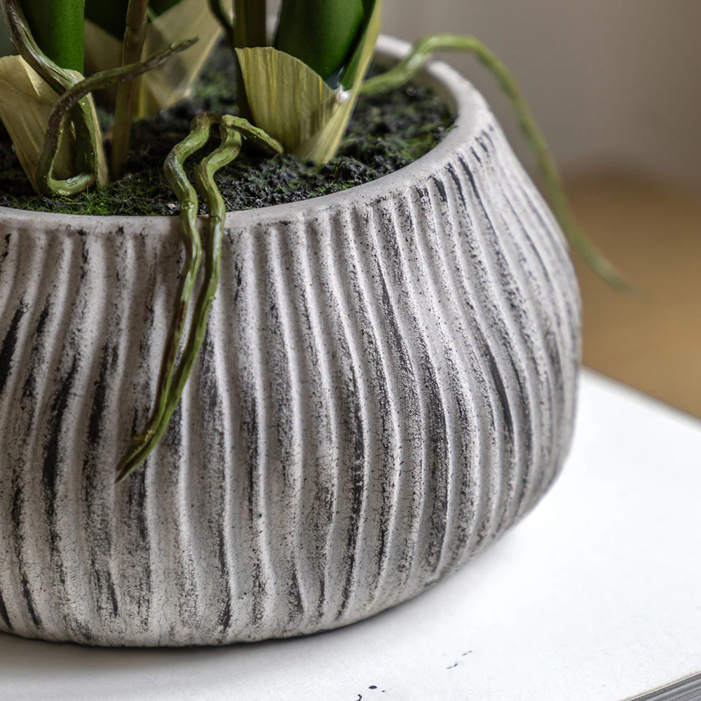 Artificial Orchid in Low Ceramic Pot - Image 2