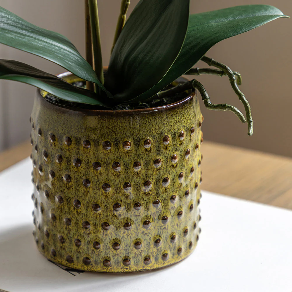 Artificial Orchid Multicolour in Moss Ceramic Dot Pot - Image 2