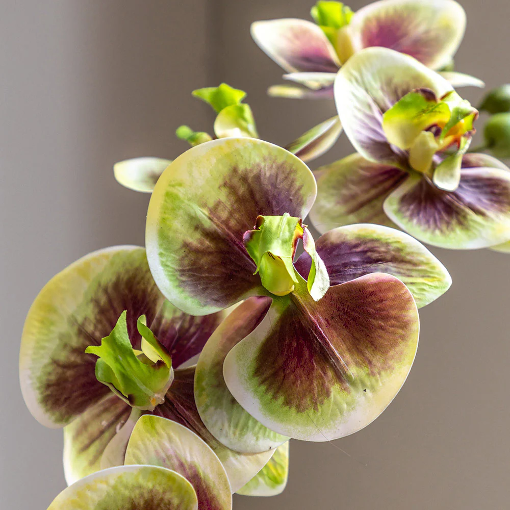 Artificial Orchid Multicolour in Moss Ceramic Dot Pot - Image 4