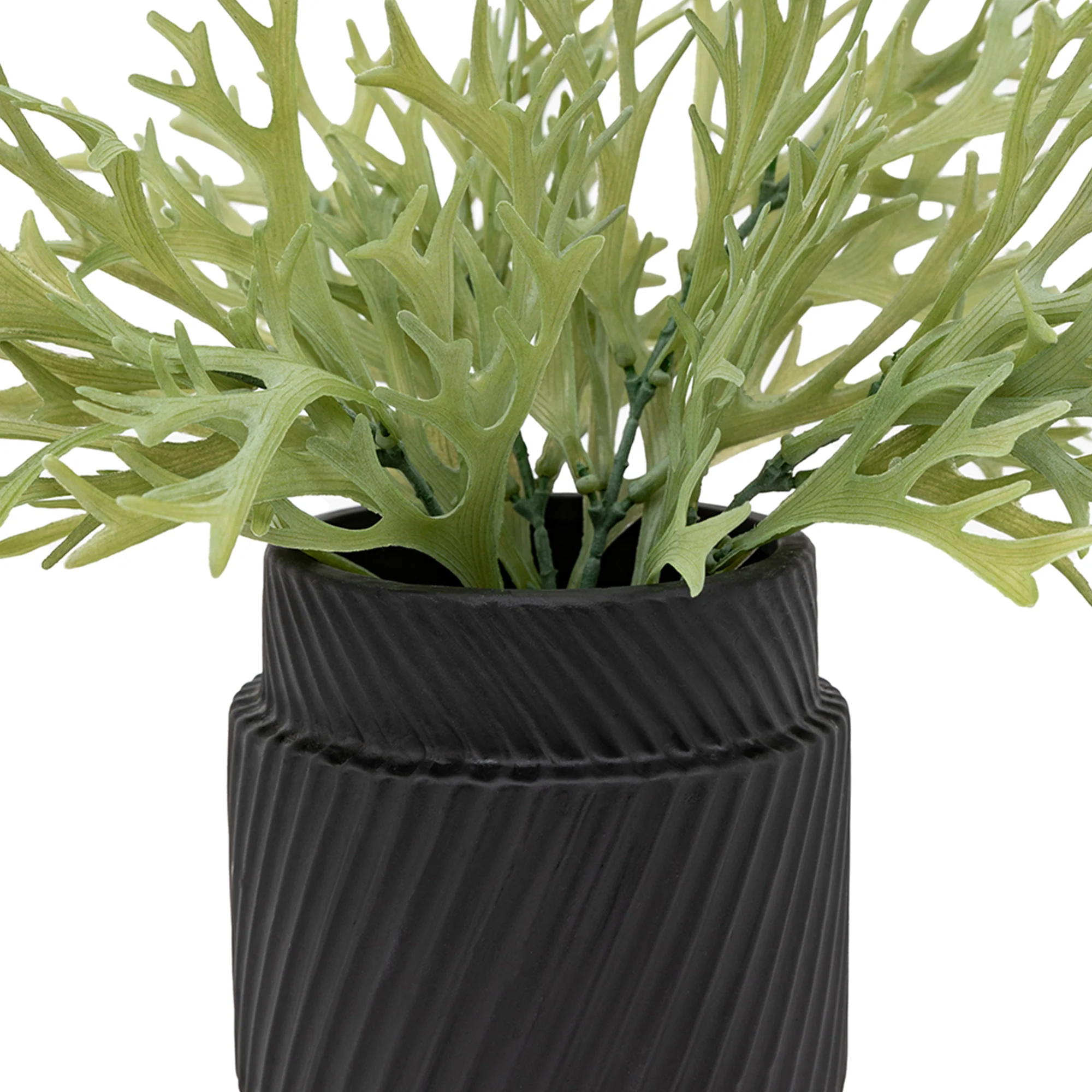 Artificial Playycerium in Ceramic Pot - Image 2