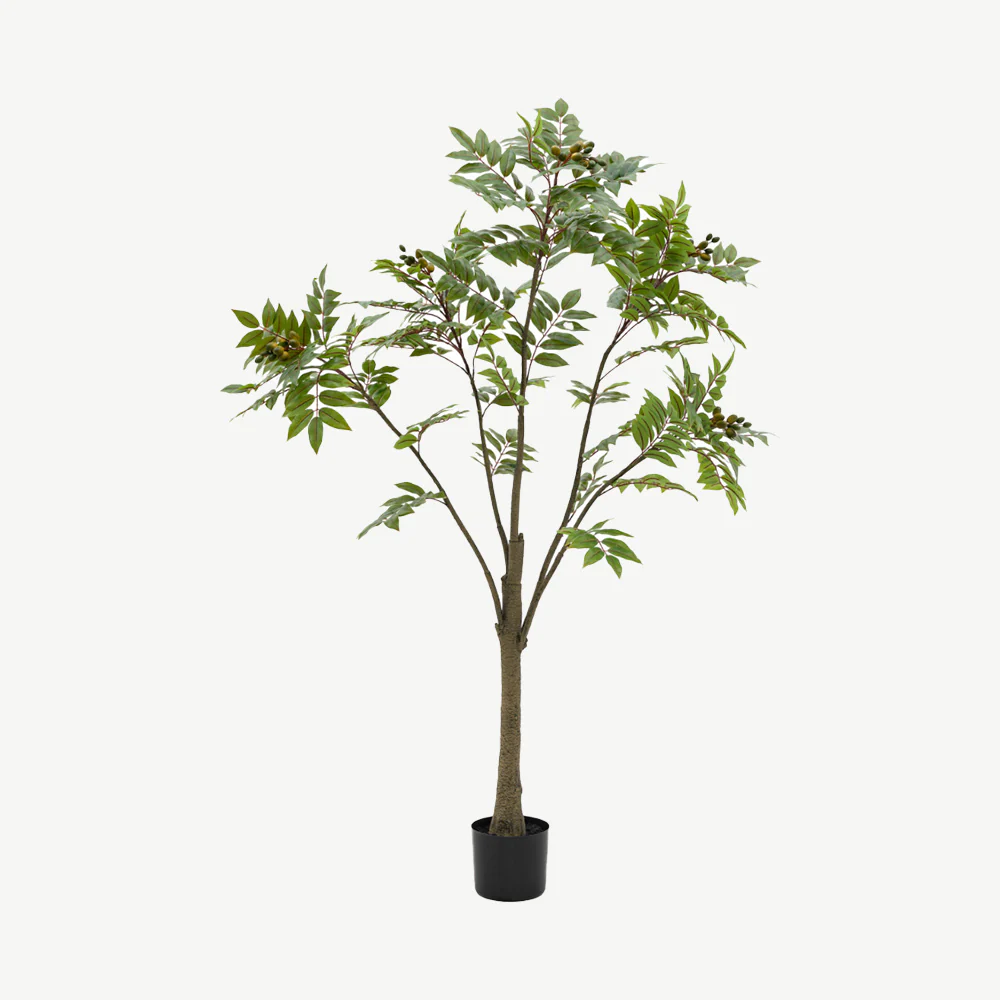 Artificial Potted Chinese White Olive Tree - Image 4