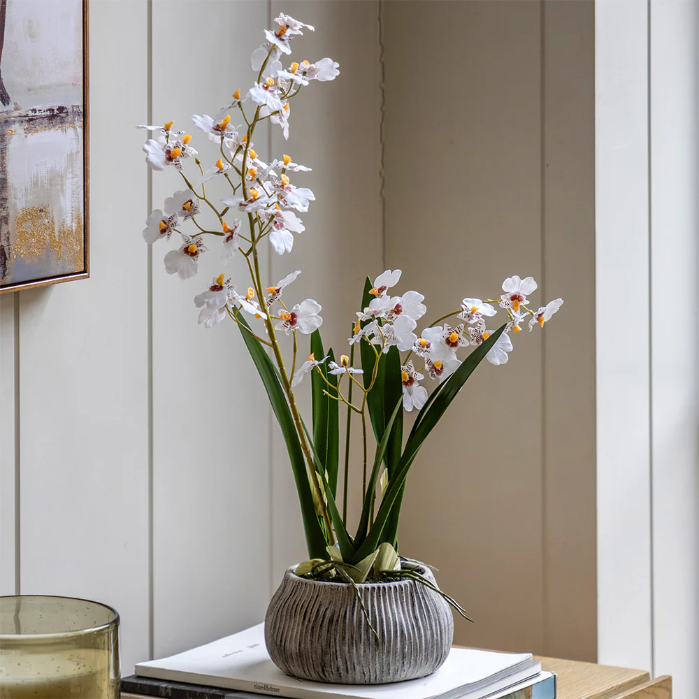 Artificial White Orchid in Low Ceramic Pot - Image 2