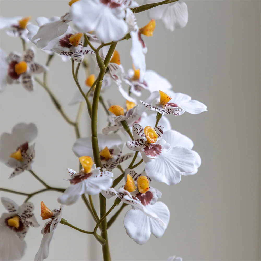 Artificial White Orchid in Low Ceramic Pot - Image 4