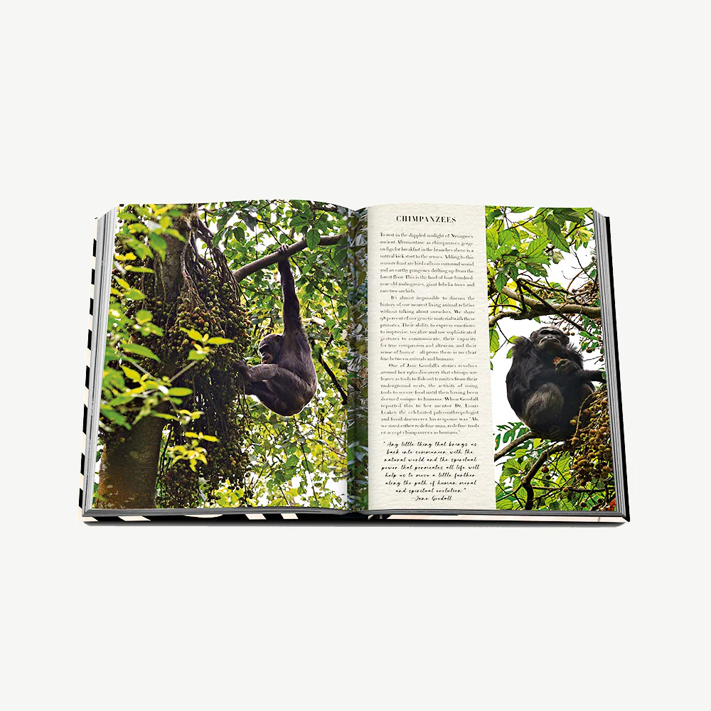 Assouline African Adventures book - Image 11