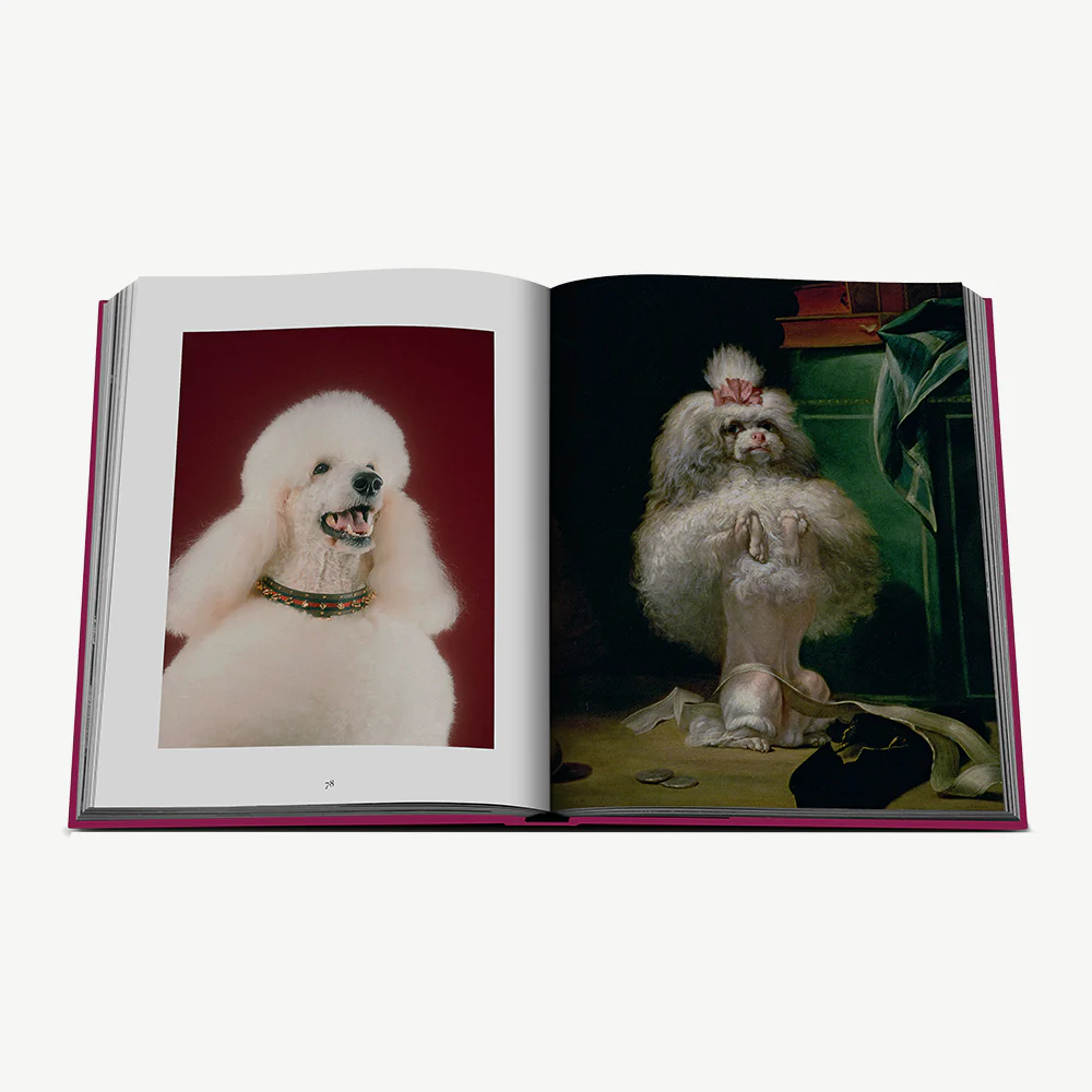 Assouline Chic Dogs Book - Image 5