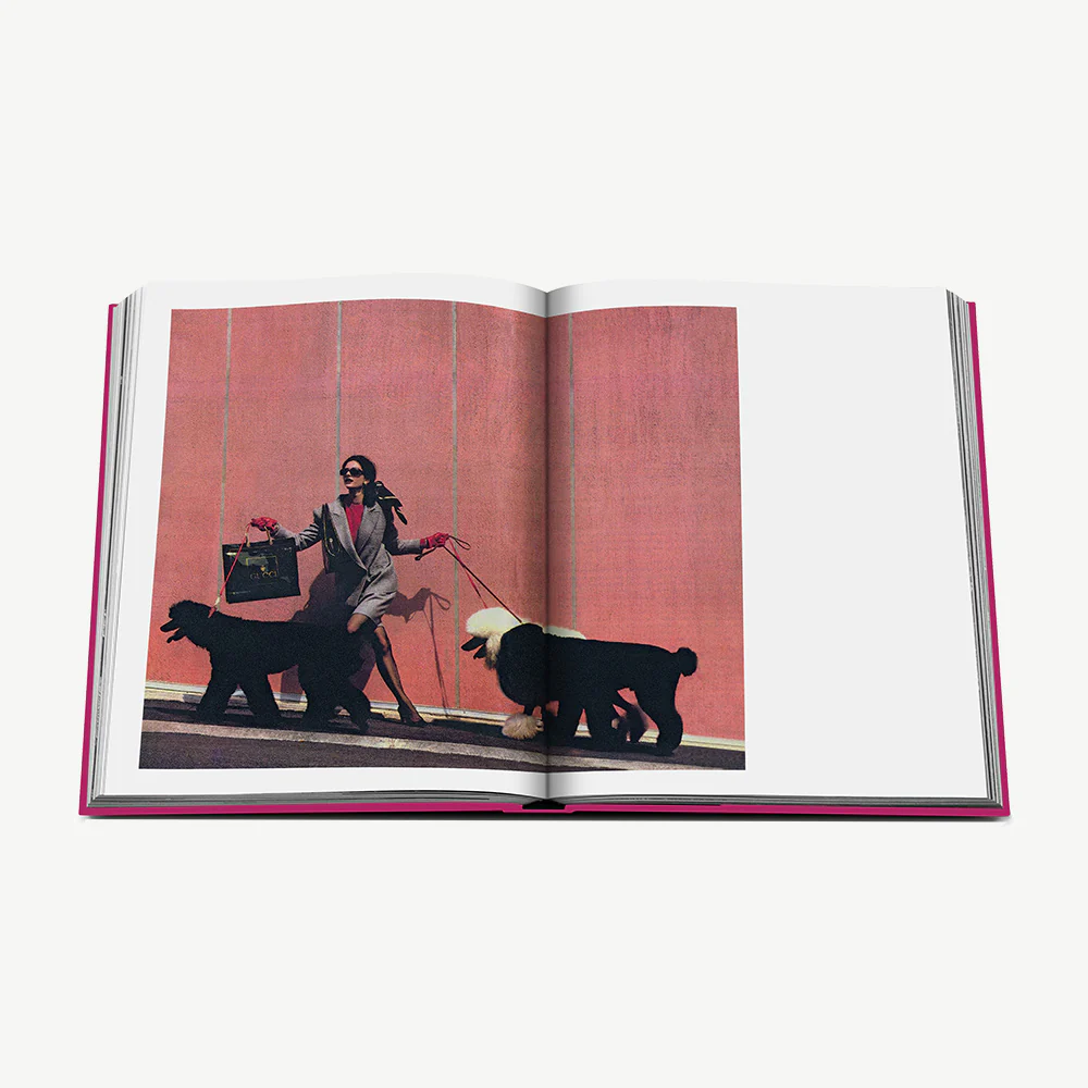 Assouline Chic Dogs Book - Image 6