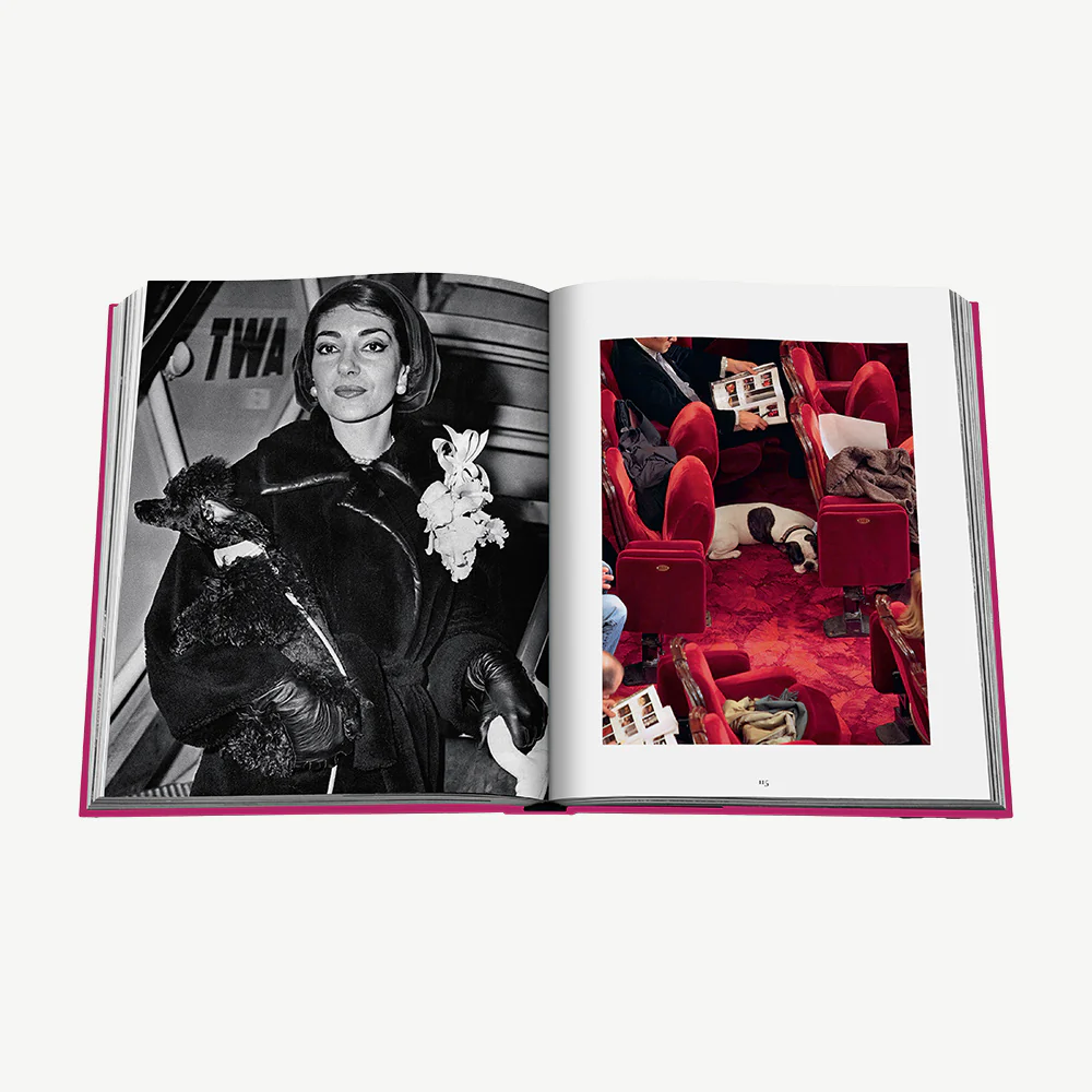 Assouline Chic Dogs Book - Image 7