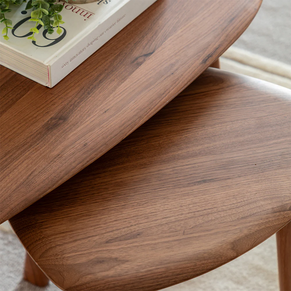 Atworth Coffee Table Nest - Image 4