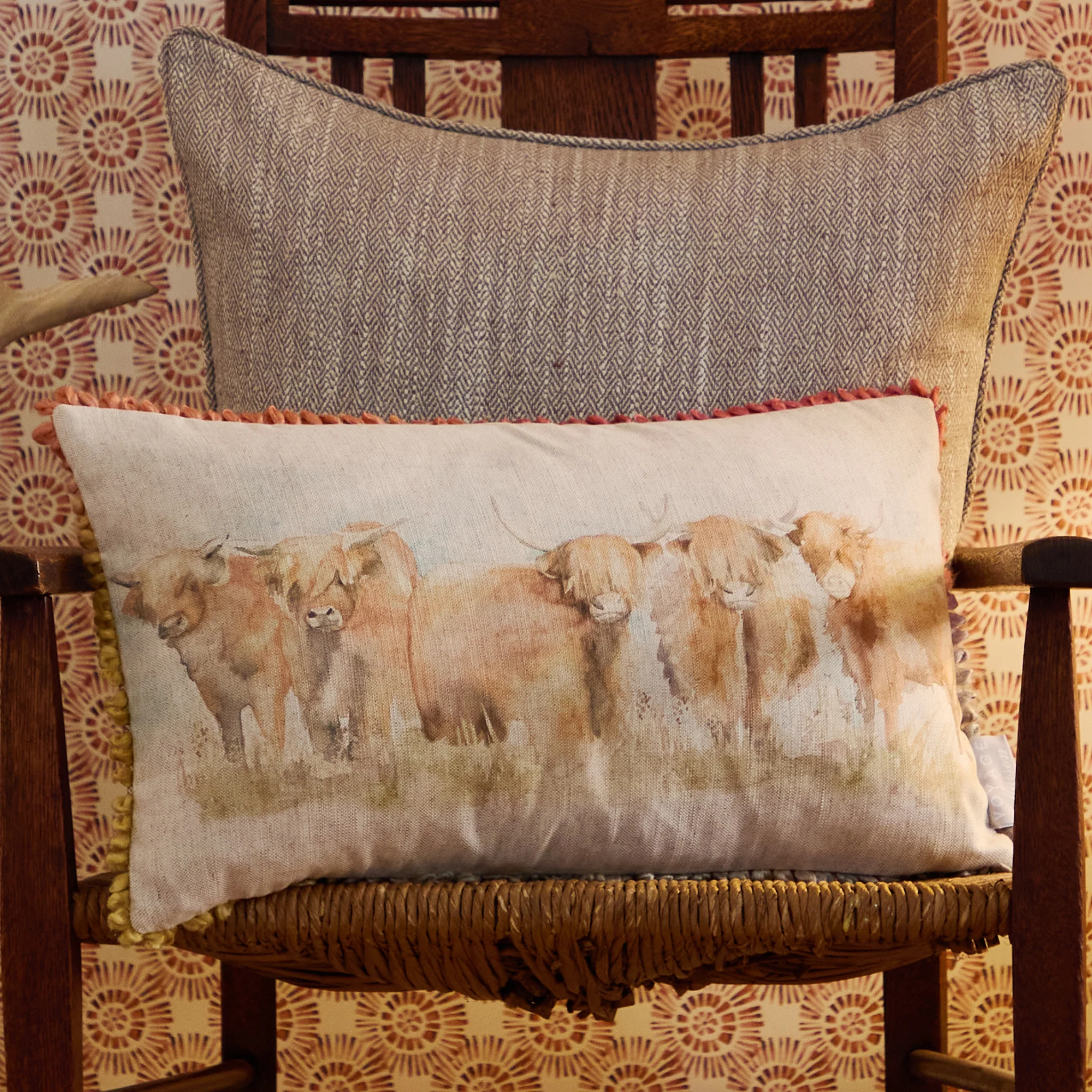 Chasca Highland Cattle Cushion