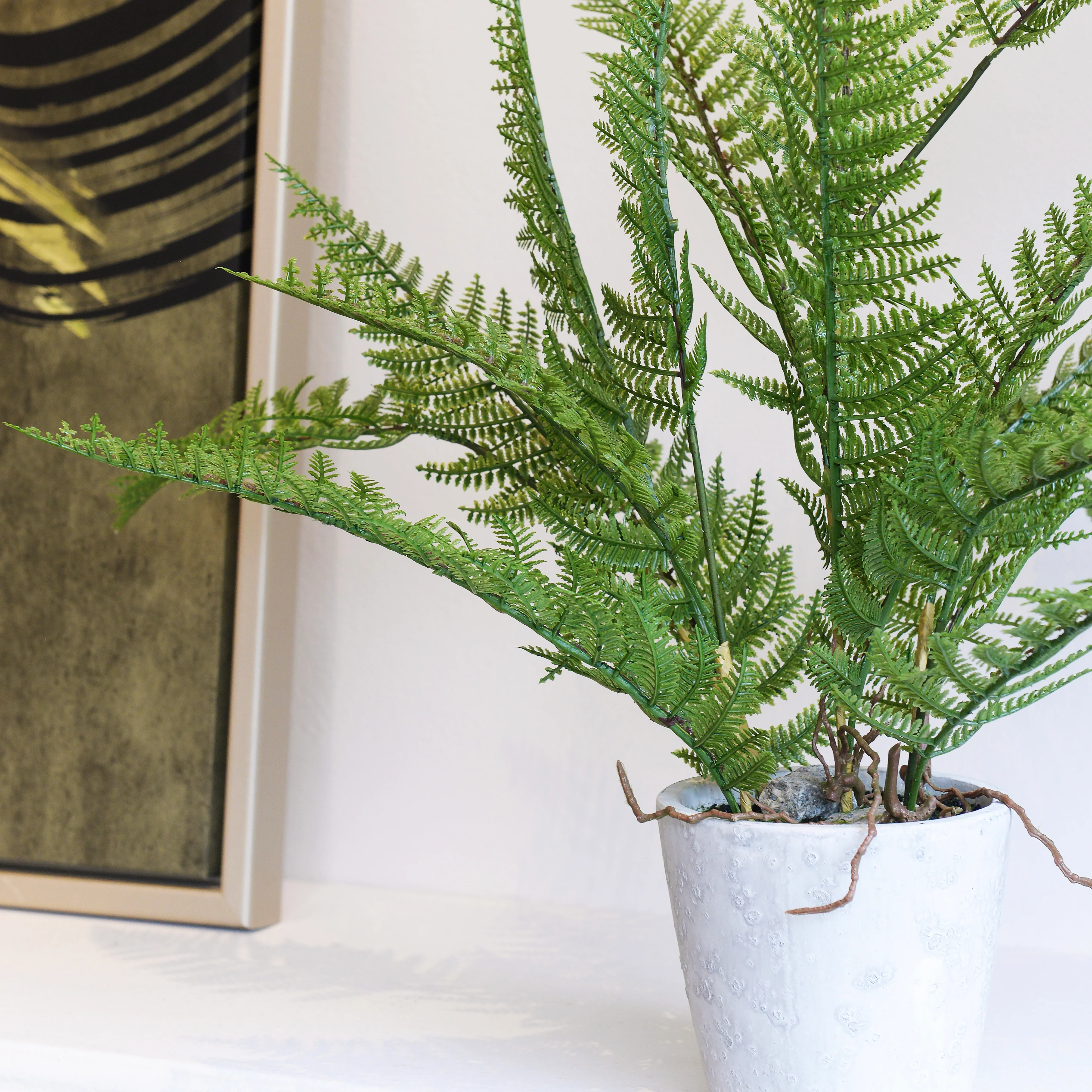 Green Bracken Fern Plant in Grey Cement Pot - Image 2
