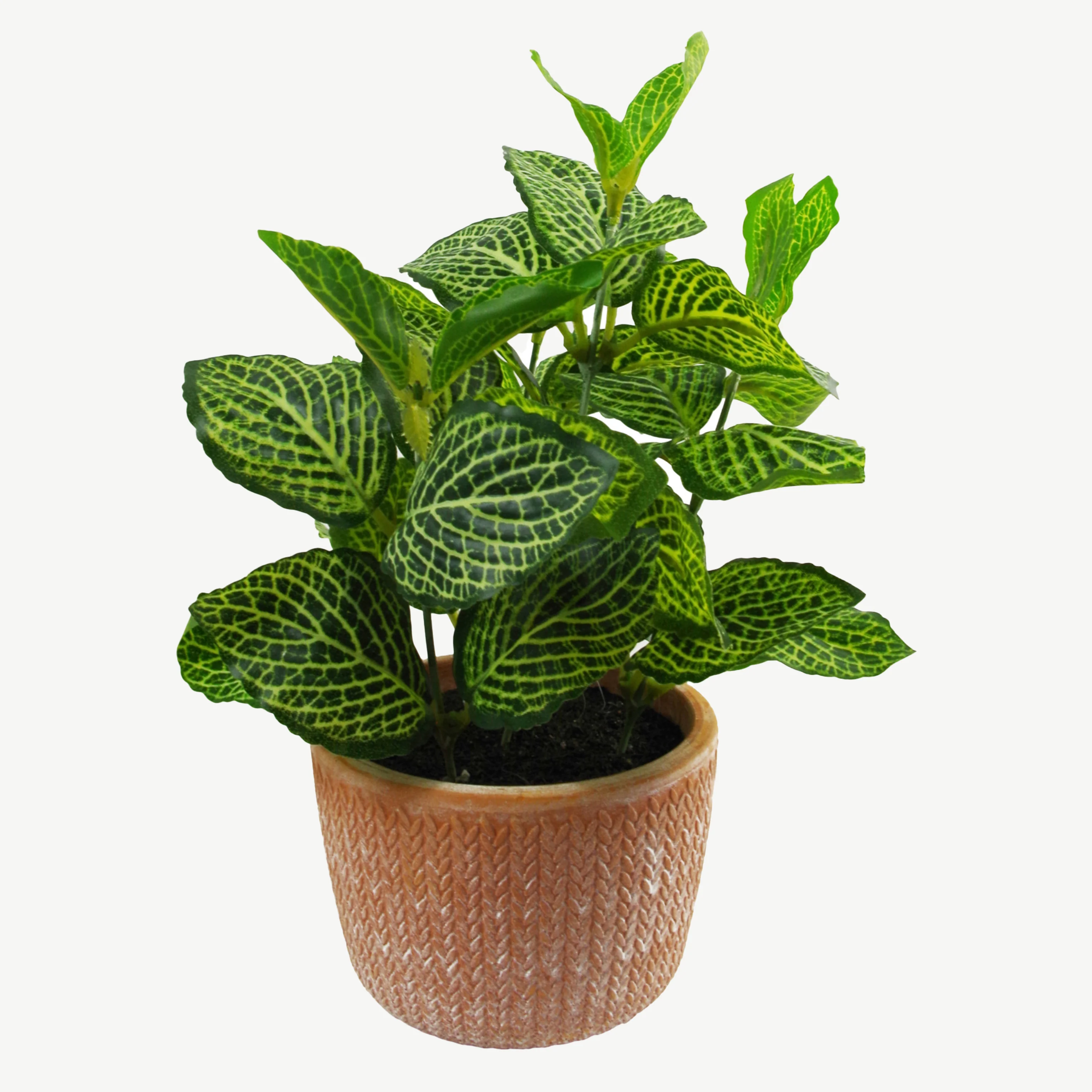 Mini Artificial Pothos in Terracotta Pot
