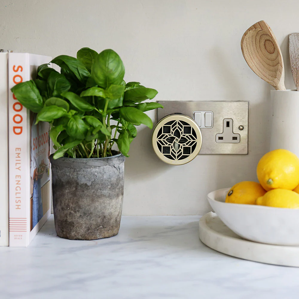 Max Benjamin Lemongrass & Ginger Wall Fragrance Diffuser - Image 2