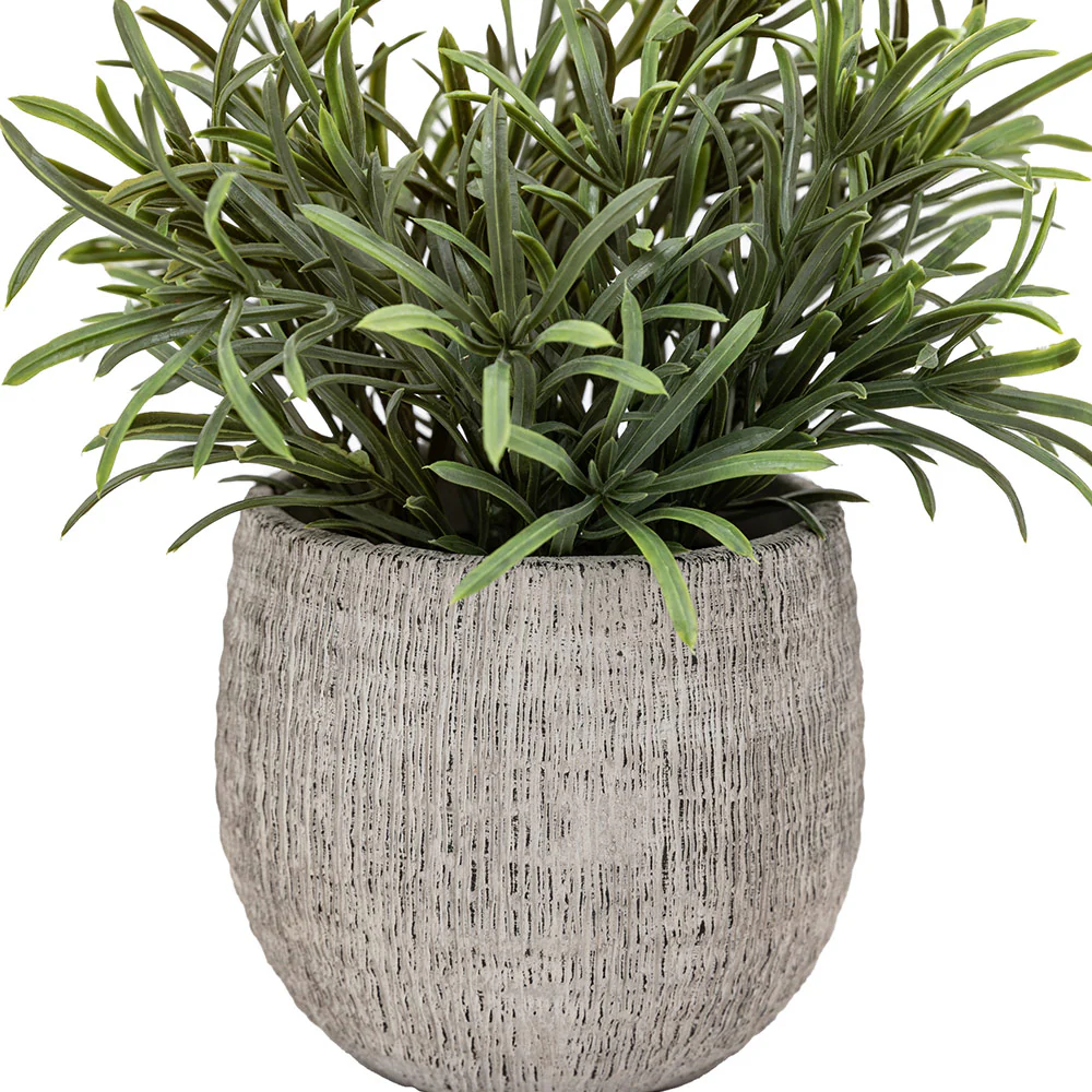 Set of 2 Potted Plant Ceramic Scratch Pots Rosemary - Image 3