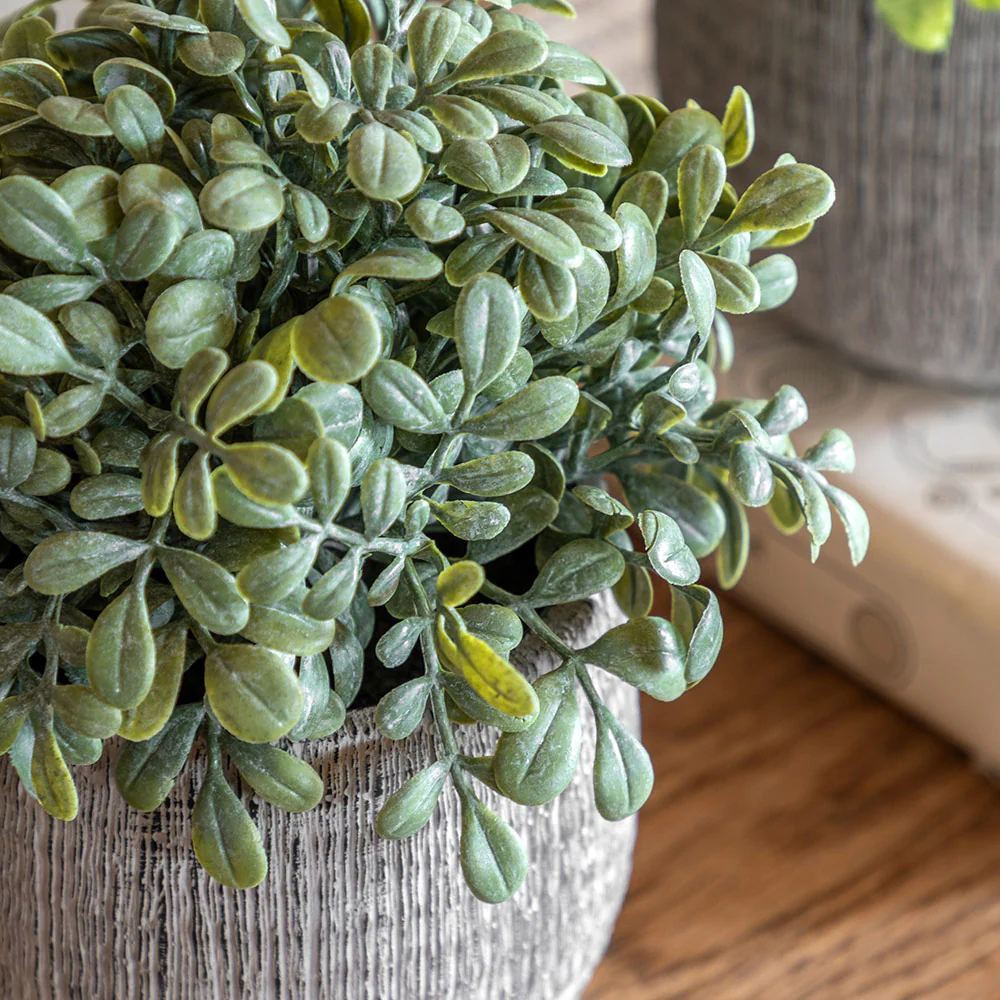 Set of 2 Potted Plant Ceramic Scratch Pots Sage - Image 2