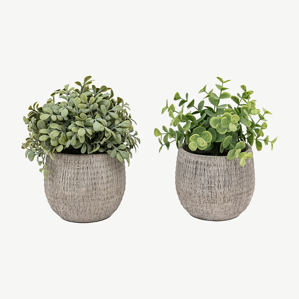 Set of 2 Potted Plant Ceramic Scratch Pots Sage - Image 3