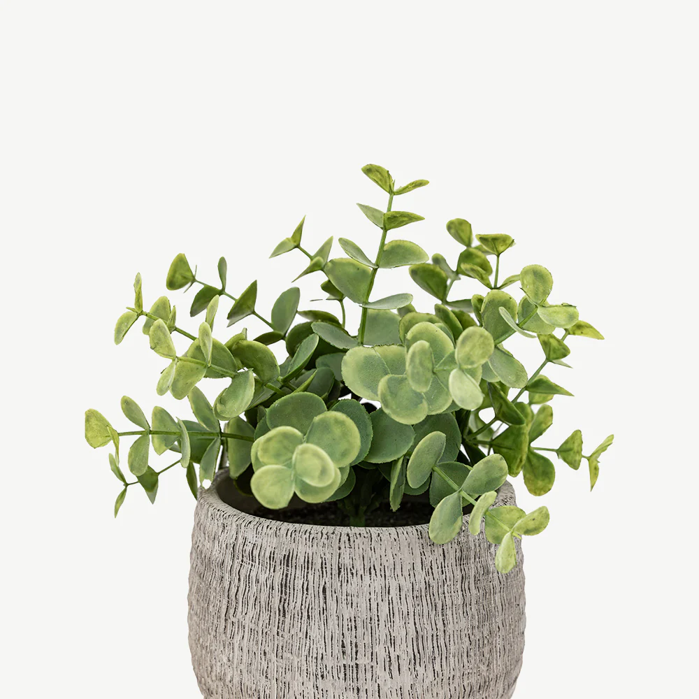 Set of 2 Potted Plant Ceramic Scratch Pots Sage - Image 4