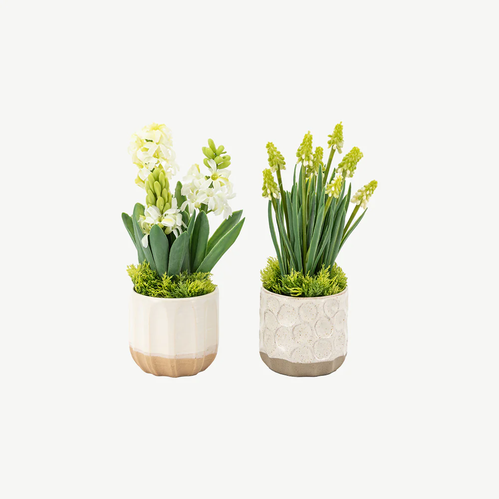 Set of 2 Spring Hydrangea in Ceramic Pots