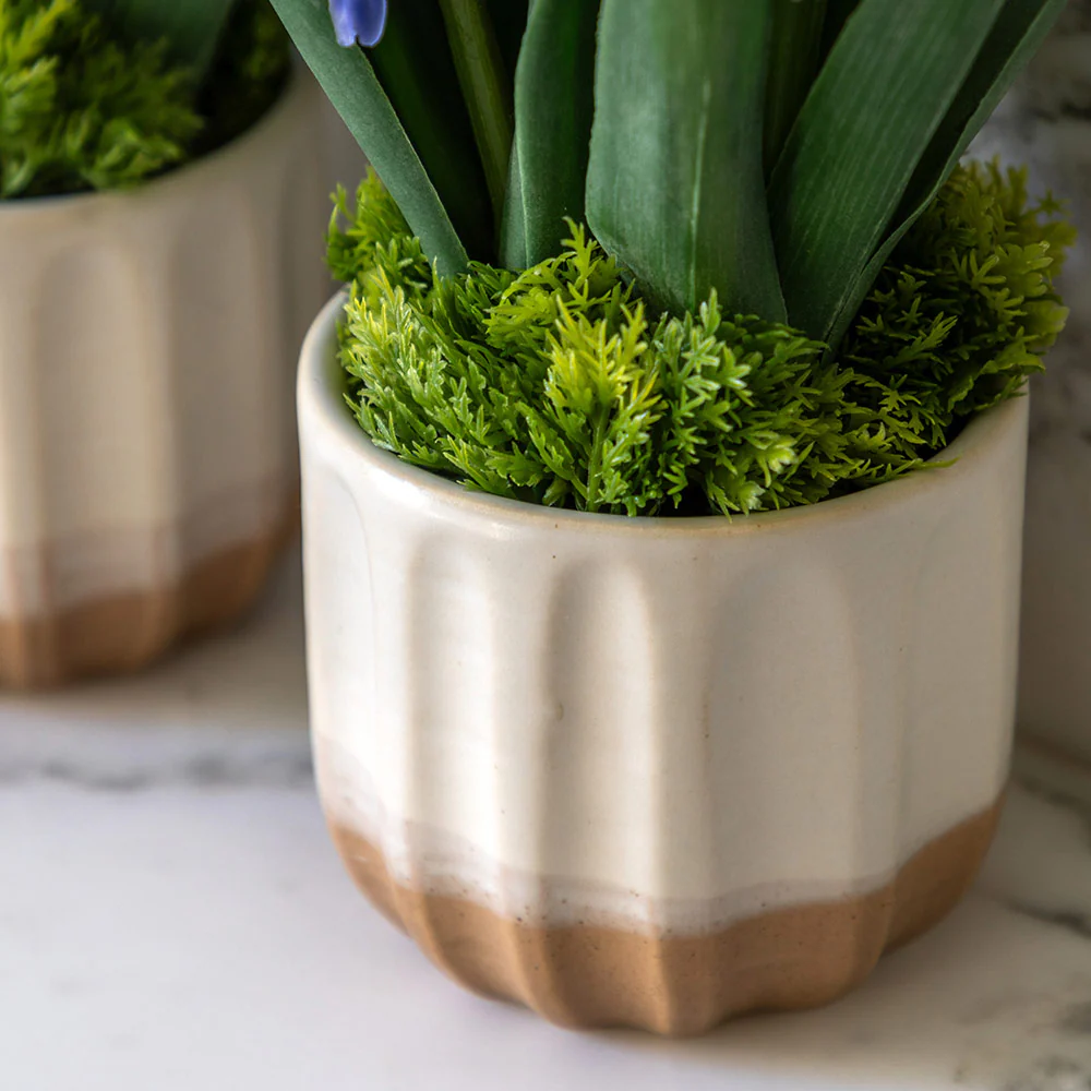 Set of 2 Spring Hydrangea in Ceramic Pots - Image 10