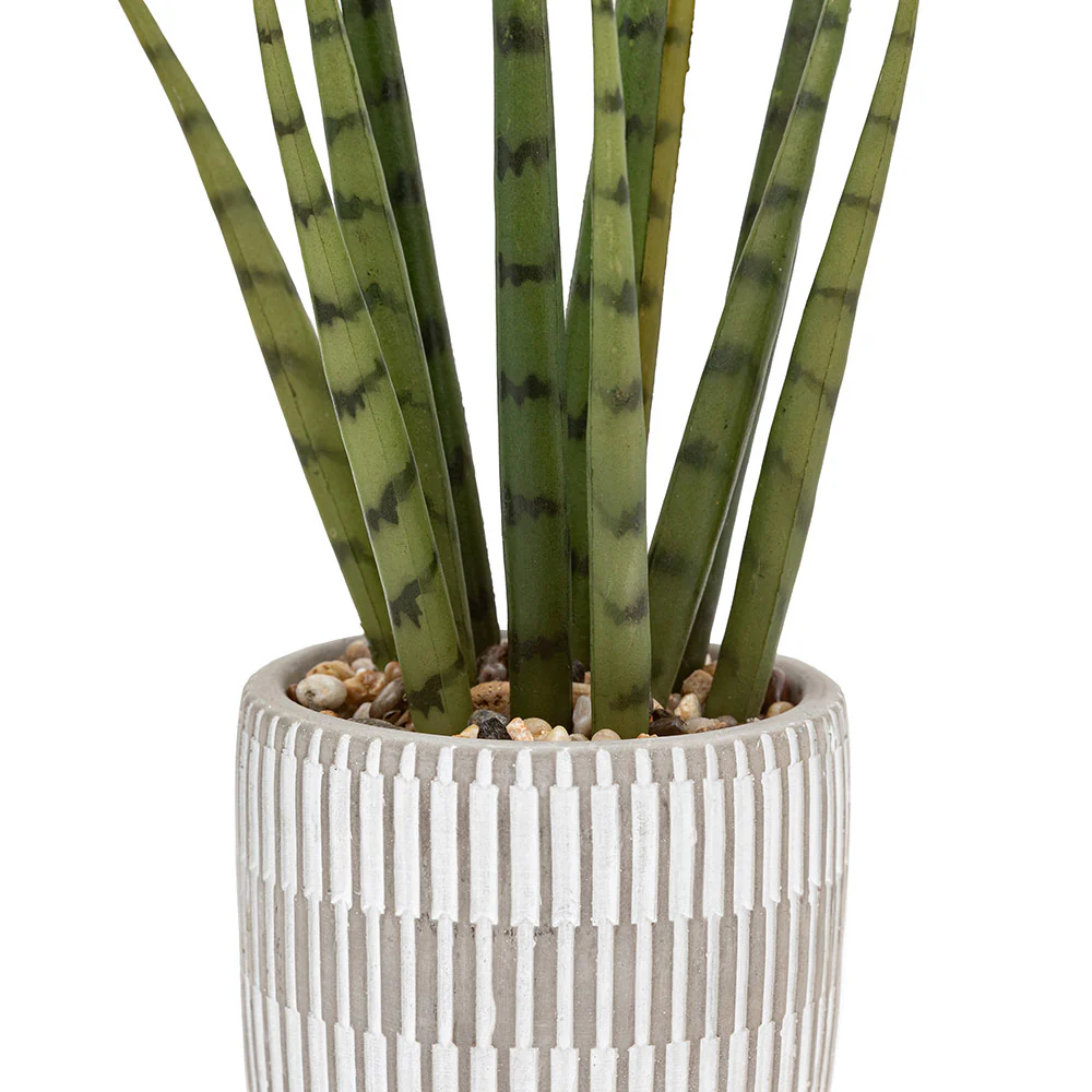Set of 2 Succulents Ceramic Pots - Image 4