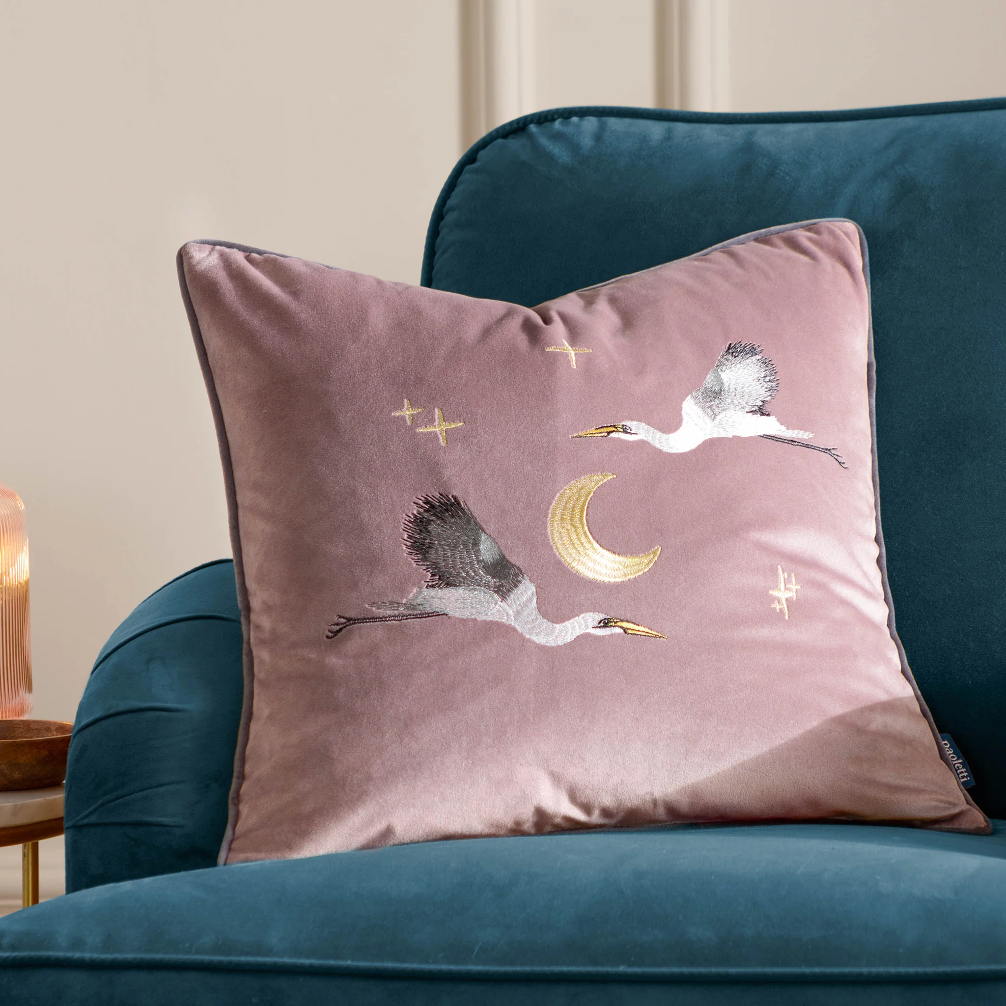 Skye Embroidered Velvet Cushion